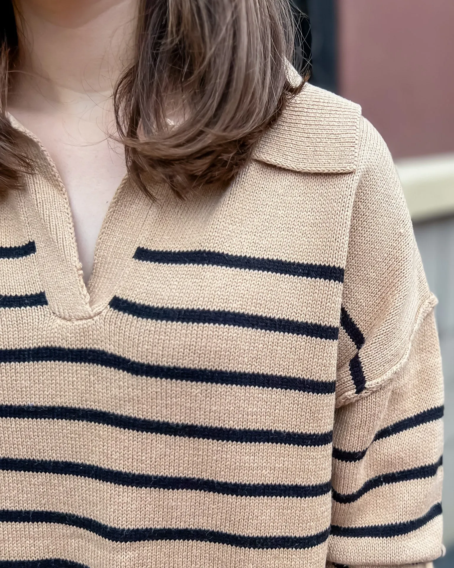 Taupe/Black Striped V-Neck Sweater