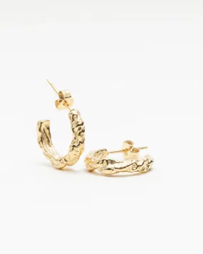 Zina Chunky Hoops